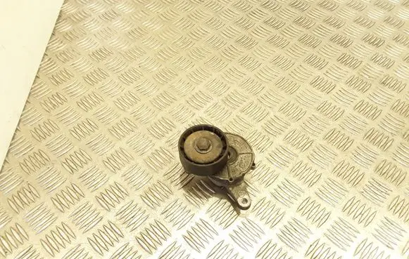 Volkswagen Tiguan Belt tensioner pulley 04903315