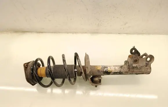 Mercedes-Benz B W245 Front shock absorber with coil spring 315293