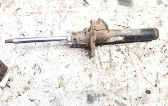 Volkswagen Golf V Front shock absorber/damper 1k0413031be