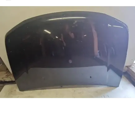 Engine bonnet/hood