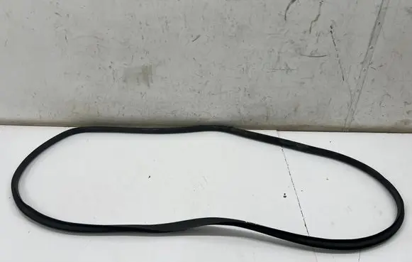 Renault Austral Front door rubber seal