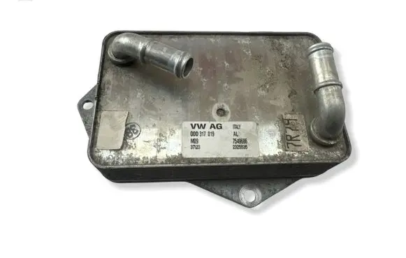 Volkswagen Golf VIII Engine oil radiator 0DD317019