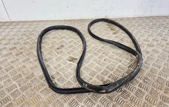 Nissan Rogue Front door rubber seal 769217FL0A