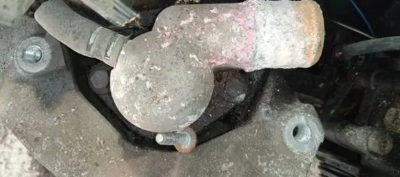 Ford Fiesta Engine coolant pipe/hose