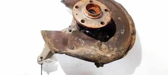 Volkswagen Tiguan Rear wheel hub 