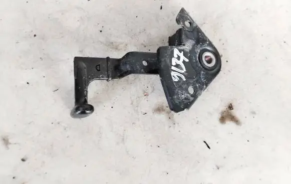 Tailgate/trunk/boot hinge