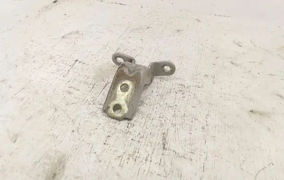 Hyundai Santa Fe Front door lower hinge 