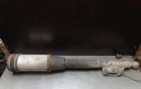 Mercedes-Benz S W220 Air suspension rear shock absorber C086054J 010222018262