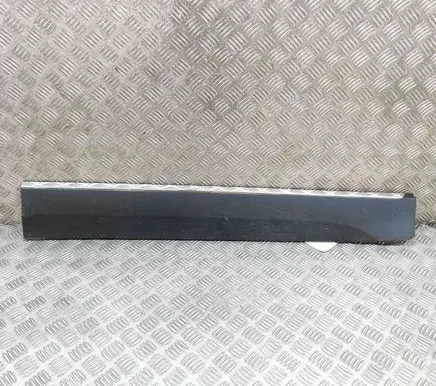 Front door trim (molding)