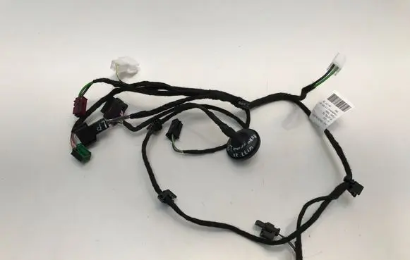 Front door wiring loom