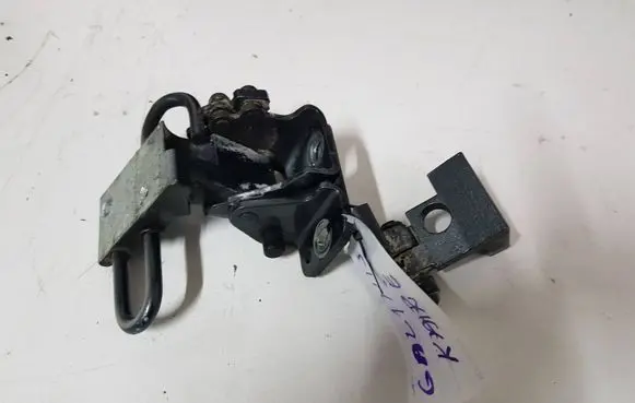Rear door lower hinge