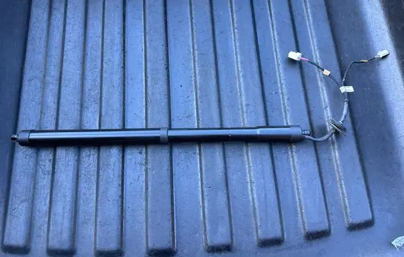 Tailgate/trunk strut/damper