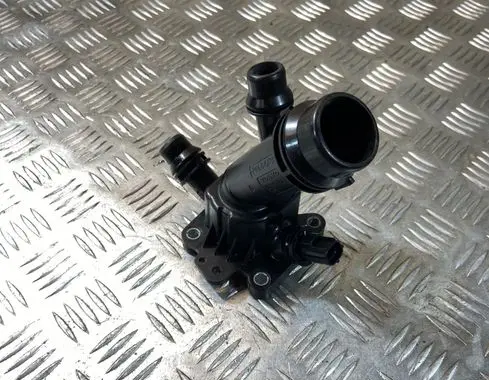 Thermostat/thermostat housing