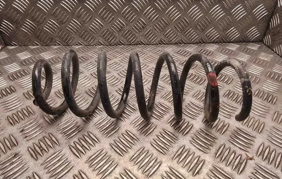 Rear coil spring