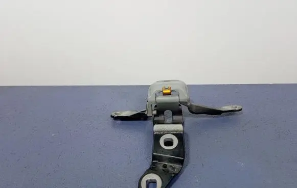 BMW 5 F10 F11 Tailgate/trunk/boot hinge 7200534