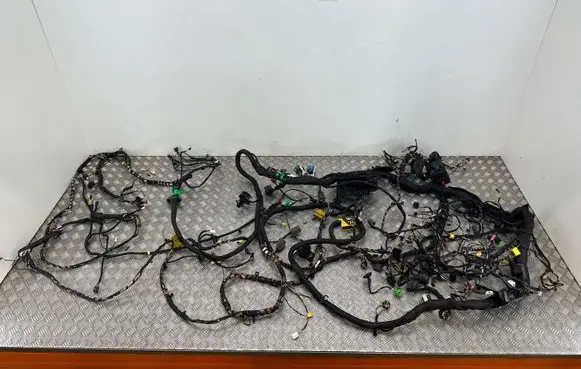 Skoda Enyaq iV Wiring harness