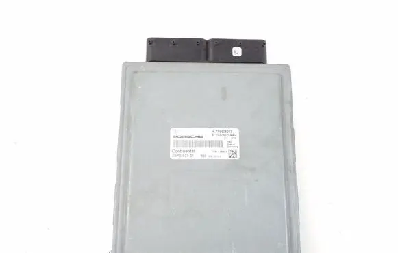 Porsche Cayenne (92A) Engine control unit/module 7P5906023