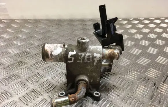Thermostat/thermostat housing