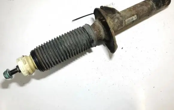 Volkswagen PASSAT B6 Front shock absorber/damper 3c0413031ae