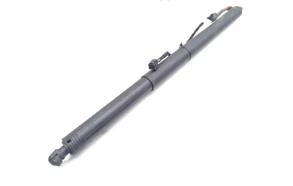 Tailgate/trunk strut/damper