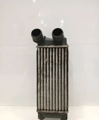 Intercooler radiator