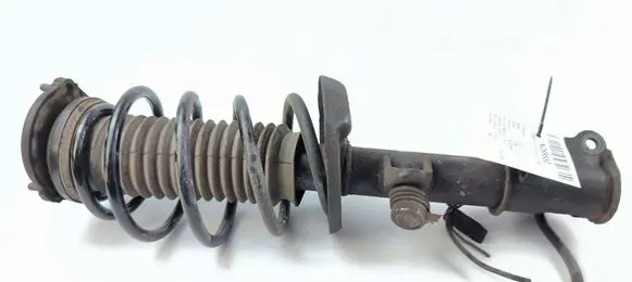 Fiat Doblo Front shock absorber/damper 