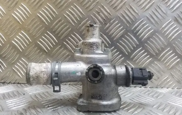 Thermostat/thermostat housing