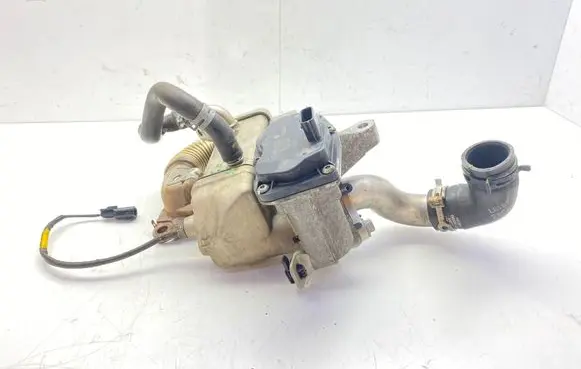 Renault Scenic III - Grand scenic III EGR valve H8201068965 147100789R