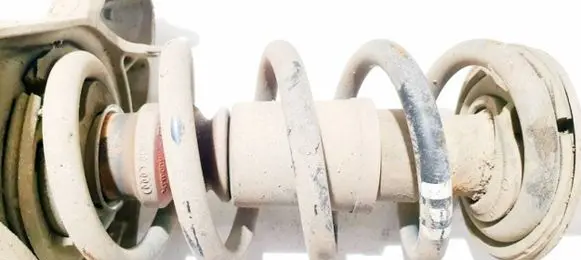 Front coil spring