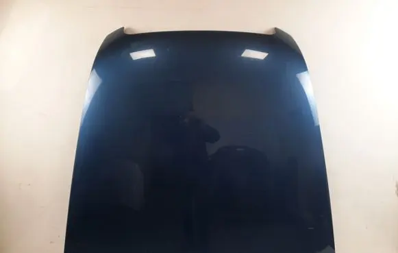 Engine bonnet/hood
