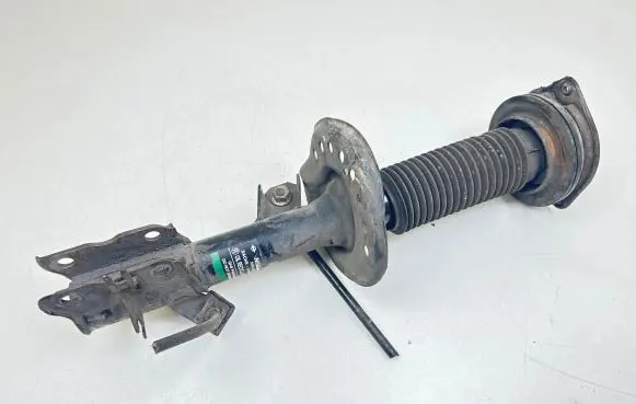 Nissan Qashqai Front shock absorber/damper 54302JD01A 824903002933