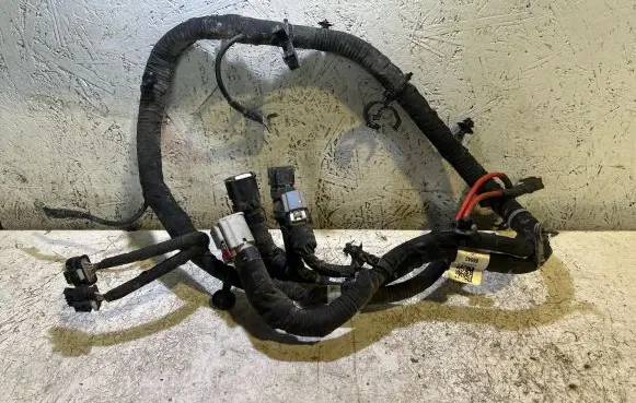 Jeep Grand Wagoneer Other wiring loom P68447666AC 666AC T0T53243101995