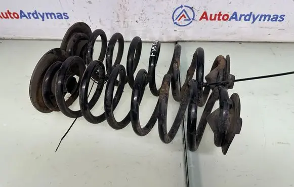 Rear coil spring