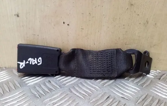 Middle seatbelt buckle (rear)