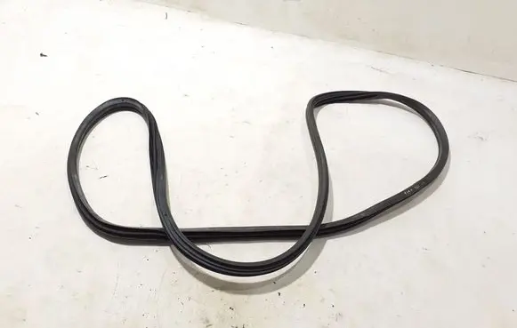 Fiat 500L Front door rubber seal 51905920