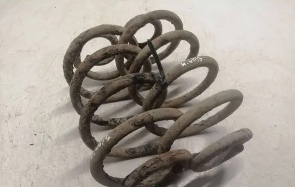 Opel Signum Rear coil spring
