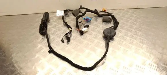 Skoda Enyaq iV Rear door wiring loom 5LA971693