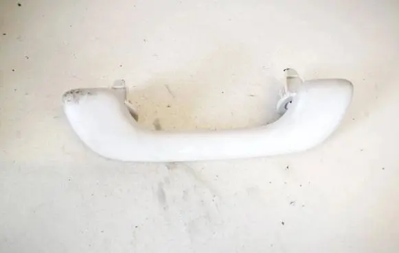 Front interior roof grab handle