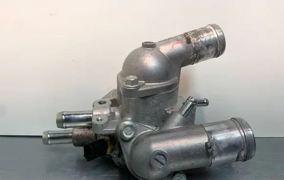 Thermostat/thermostat housing