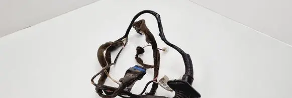 Renault Scenic II - Grand scenic II Front door wiring loom 8200466103