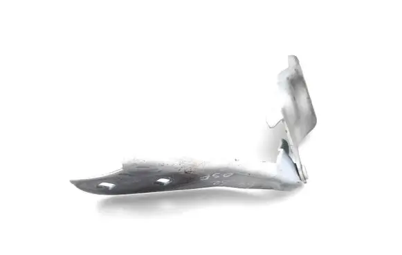 Tesla Model 3 Engine bonnet/hood hinges 