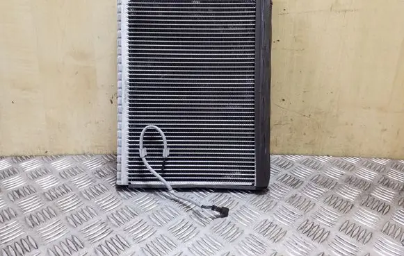 Land Rover Range Rover Sport L320 Air conditioning (A/C) radiator (interior) 