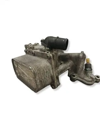 Nissan Qashqai+2 Oil filter mounting bracket 