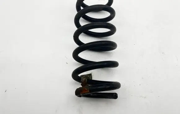 Ford Edge II Rear coil spring 