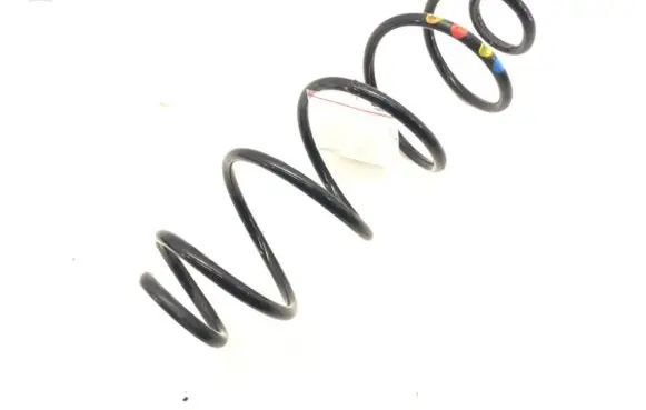 Rear coil spring