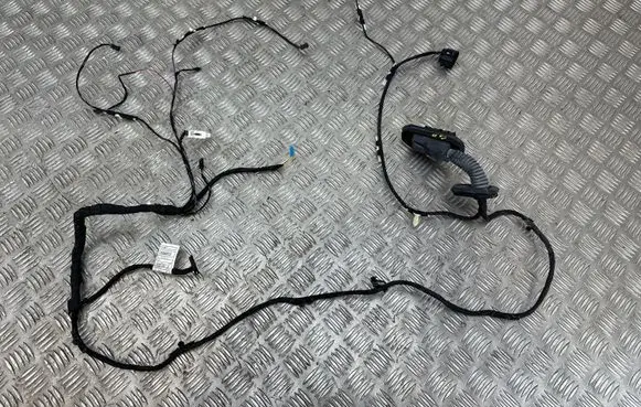 BMW 5 F10 F11 Rear door wiring loom 9291064