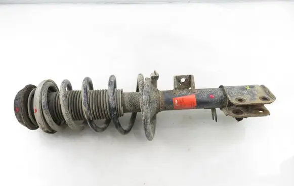 Fiat Sedici Front shock absorber with coil spring