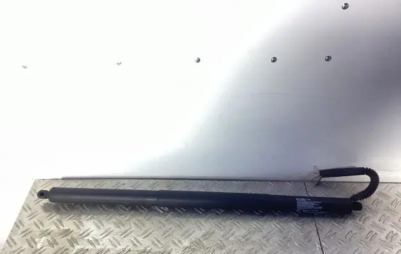 Tailgate strut
