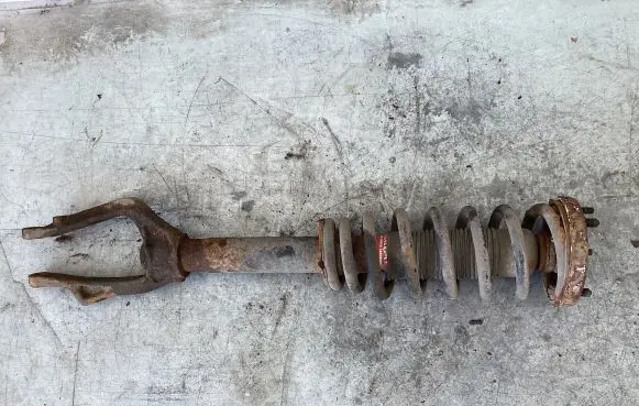 Honda Accord Front shock absorber with coil spring