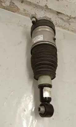 BMW 5 G60 Rear shock absorber/damper 24222210